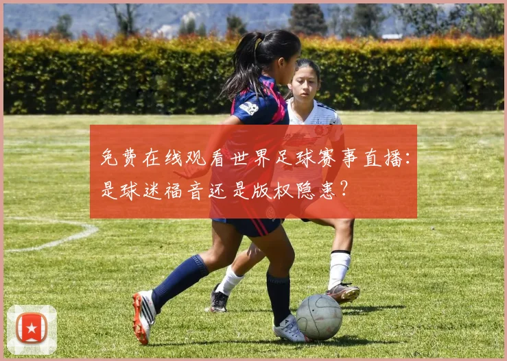 免费在线观看世界足球赛事直播:是球迷福音还是版权隐患?