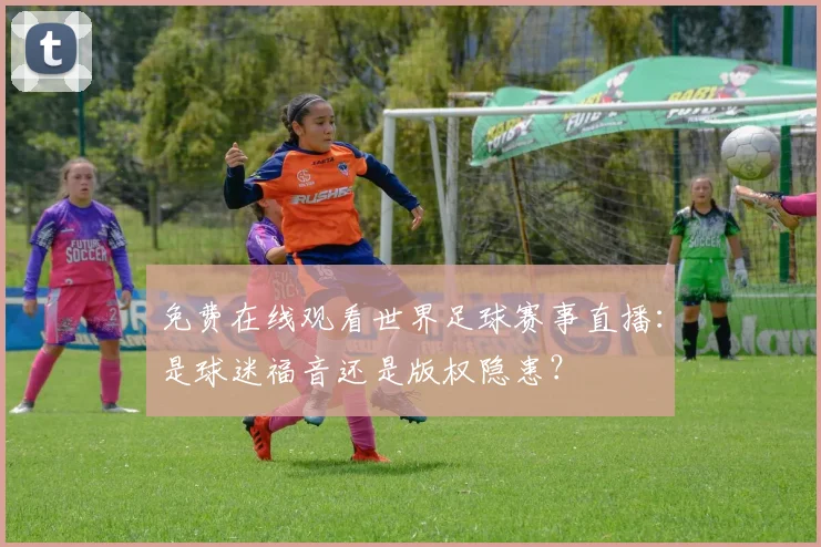 免费在线观看世界足球赛事直播：是球迷福音还是版权隐患？